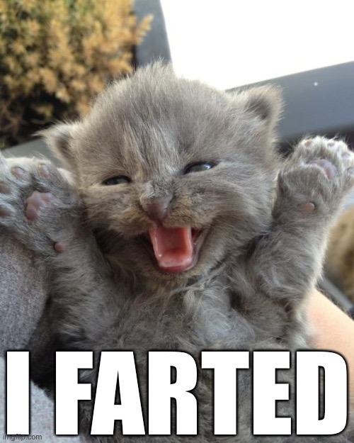 Yay Kitty |  I FARTED | image tagged in yay kitty,funny memes,dank memes,oh wow are you actually reading these tags | made w/ Imgflip meme maker