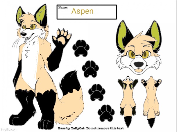 This is aspen... (might be a fursona for me I’m still deciding) | image tagged in fur | made w/ Imgflip meme maker