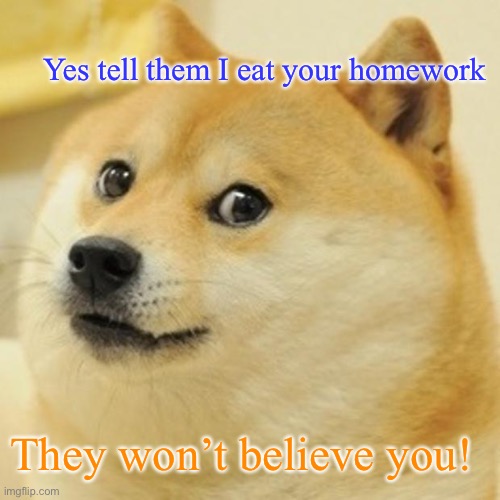 Doge | Yes tell them I eat your homework; They won’t believe you! | image tagged in memes,doge | made w/ Imgflip meme maker