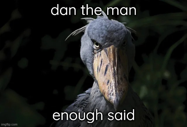 shoebill | dan the man; enough said | image tagged in shoebill | made w/ Imgflip meme maker