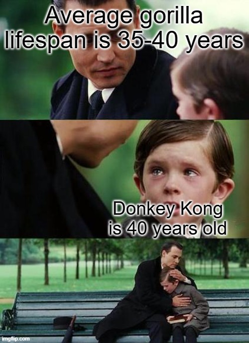 sad |  Average gorilla lifespan is 35-40 years; Donkey Kong is 40 years old | image tagged in crying-boy-on-a-bench | made w/ Imgflip meme maker