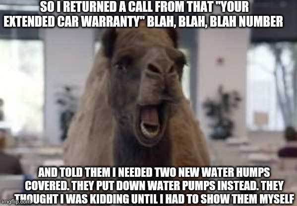 Hump Day Camel | SO I RETURNED A CALL FROM THAT "YOUR EXTENDED CAR WARRANTY" BLAH, BLAH, BLAH NUMBER; AND TOLD THEM I NEEDED TWO NEW WATER HUMPS COVERED. THEY PUT DOWN WATER PUMPS INSTEAD. THEY THOUGHT I WAS KIDDING UNTIL I HAD TO SHOW THEM MYSELF | image tagged in hump day camel | made w/ Imgflip meme maker
