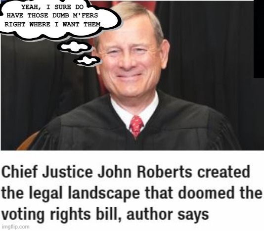 The Judicial Smirk | YEAH, I SURE DO HAVE THOSE DUMB M'FERS RIGHT WHERE I WANT THEM | image tagged in supreme court,john roberts | made w/ Imgflip meme maker