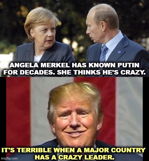 Putin used to run the Dresden station of the KGB. He and Merkel spoke German to each other. | ANGELA MERKEL HAS KNOWN PUTIN FOR DECADES. SHE THINKS HE'S CRAZY. IT'S TERRIBLE WHEN A MAJOR COUNTRY 
HAS A CRAZY LEADER. | image tagged in trump crazy with self-pity,angela merkel,vladimir putin,crazy,trump,bats | made w/ Imgflip meme maker