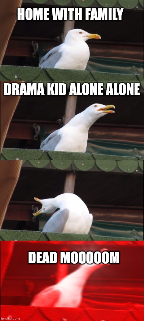 Inhaling Seagull | HOME WITH FAMILY; DRAMA KID ALONE ALONE; DEAD MOOOOOM | image tagged in memes,inhaling seagull | made w/ Imgflip meme maker