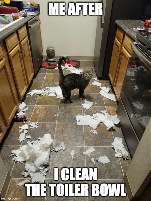pee | ME AFTER; I CLEAN THE TOILER BOWL | image tagged in cats,funny,funny cats,pee | made w/ Imgflip meme maker