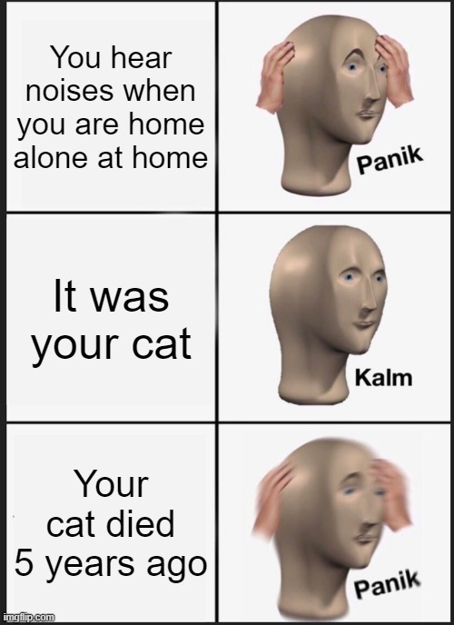 Panik Kalm Panik Meme | You hear noises when you are home alone at home; It was your cat; Your cat died 5 years ago | image tagged in memes,panik kalm panik | made w/ Imgflip meme maker
