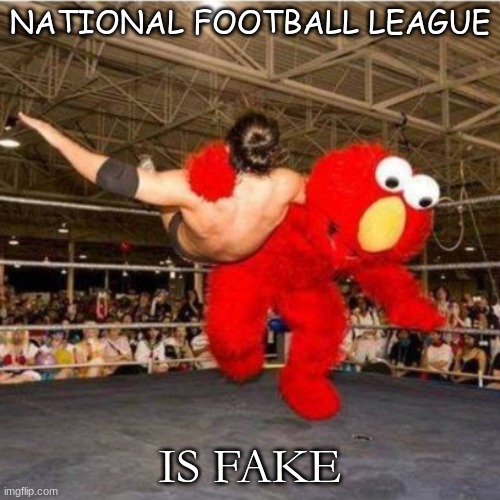 NFL | NATIONAL FOOTBALL LEAGUE; IS FAKE | image tagged in elmo wrestling | made w/ Imgflip meme maker