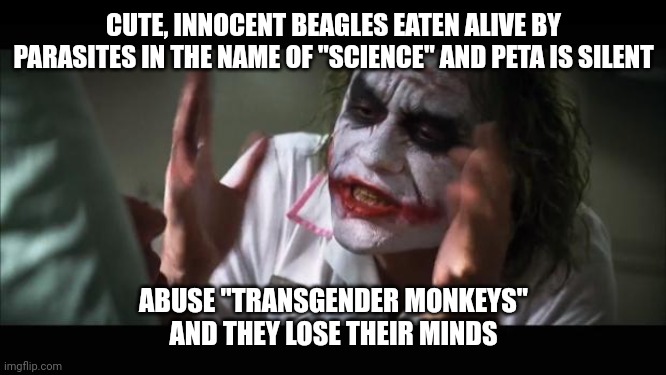 And everybody loses their minds Meme | CUTE, INNOCENT BEAGLES EATEN ALIVE BY PARASITES IN THE NAME OF "SCIENCE" AND PETA IS SILENT; ABUSE "TRANSGENDER MONKEYS" AND THEY LOSE THEIR MINDS | image tagged in memes,and everybody loses their minds | made w/ Imgflip meme maker