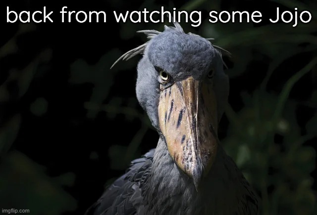 shoebill | back from watching some Jojo | image tagged in shoebill | made w/ Imgflip meme maker