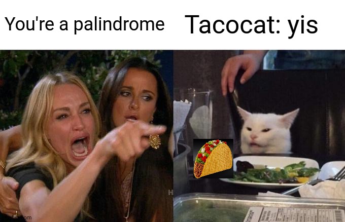Woman Yelling At Cat Meme | You're a palindrome Tacocat: yis | image tagged in memes,woman yelling at cat | made w/ Imgflip meme maker