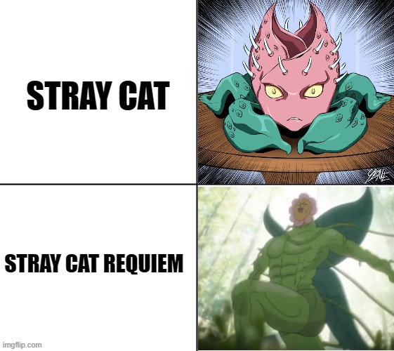 Cat plant go brrr | STRAY CAT; STRAY CAT REQUIEM | image tagged in jojo's bizarre adventure,memes,the amazing world of gumball | made w/ Imgflip meme maker