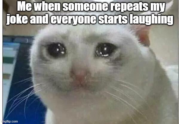 Crying cat | Me when someone repeats my joke and everyone starts laughing | image tagged in crying cat,memes,funny memes | made w/ Imgflip meme maker