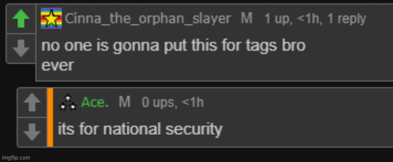 putting hundreds of filter words in a stream helps enforce national security | made w/ Imgflip meme maker