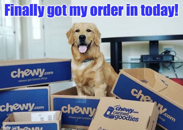 Golden Programmer | Finally got my order in today! | image tagged in chewy com,golden retriever | made w/ Imgflip meme maker