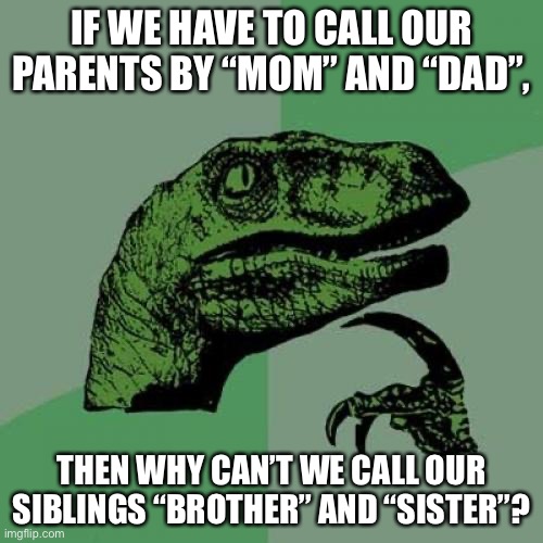 Philosoraptor Meme | IF WE HAVE TO CALL OUR PARENTS BY “MOM” AND “DAD”, THEN WHY CAN’T WE CALL OUR SIBLINGS “BROTHER” AND “SISTER”? | image tagged in memes,philosoraptor | made w/ Imgflip meme maker