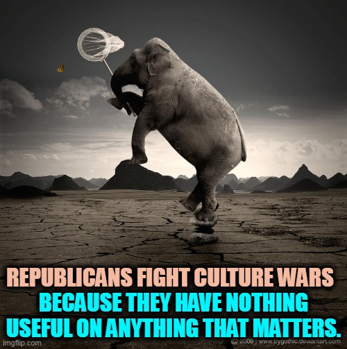 The GOP, the Party of Pointless Irrelevancy. | BECAUSE THEY HAVE NOTHING USEFUL ON ANYTHING THAT MATTERS. REPUBLICANS FIGHT CULTURE WARS | image tagged in the gop fights culture wars they have nothing else,republican party,empty | made w/ Imgflip meme maker