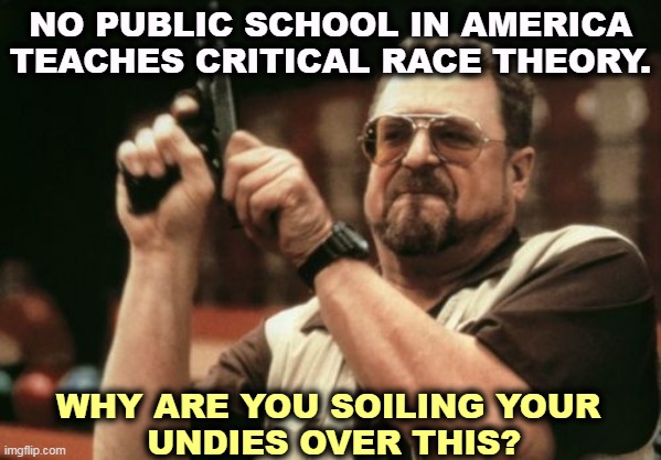Don't you recognize when the GOP is yanking your chain? | NO PUBLIC SCHOOL IN AMERICA TEACHES CRITICAL RACE THEORY. WHY ARE YOU SOILING YOUR 
UNDIES OVER THIS? | image tagged in memes,am i the only one around here,gop,culture,wars,distraction | made w/ Imgflip meme maker