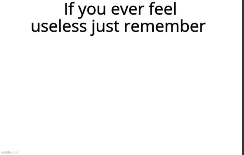 Use this | image tagged in if you ever feel useless remember this,new tamplate,not fun | made w/ Imgflip meme maker