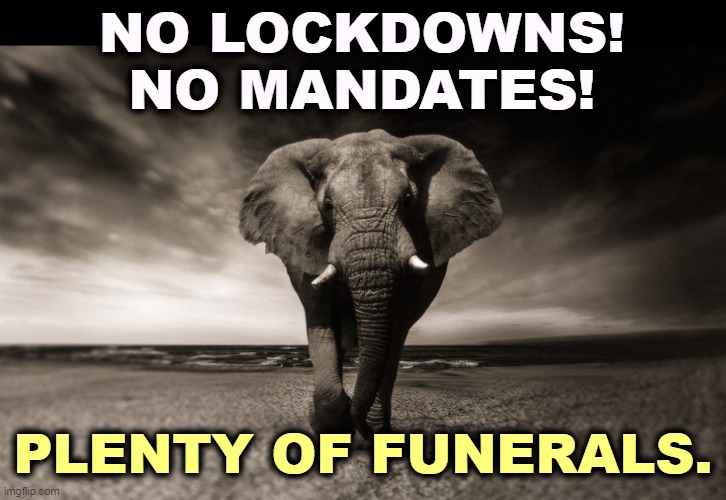 Be a good Republican. Die. | NO LOCKDOWNS!
NO MANDATES! PLENTY OF FUNERALS. | image tagged in republican,gop,right wing,conservative,anti vax,funeral | made w/ Imgflip meme maker