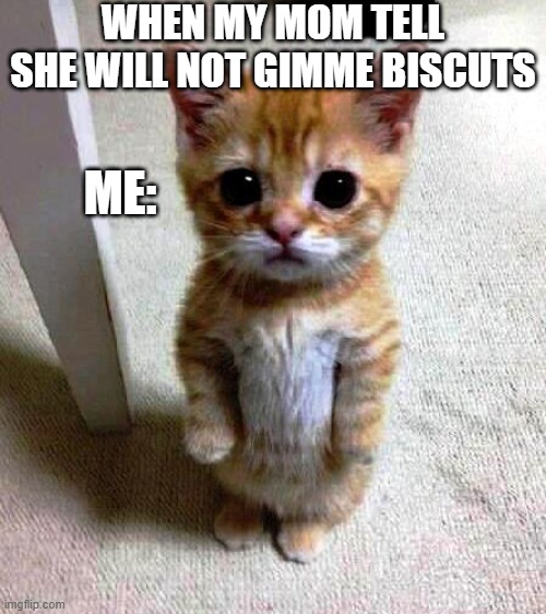 When Your Mom Dose'nt Give You Bisucts | WHEN MY MOM TELL SHE WILL NOT GIMME BISCUTS; ME: | image tagged in fun,funny,very funny,lol so funny | made w/ Imgflip meme maker