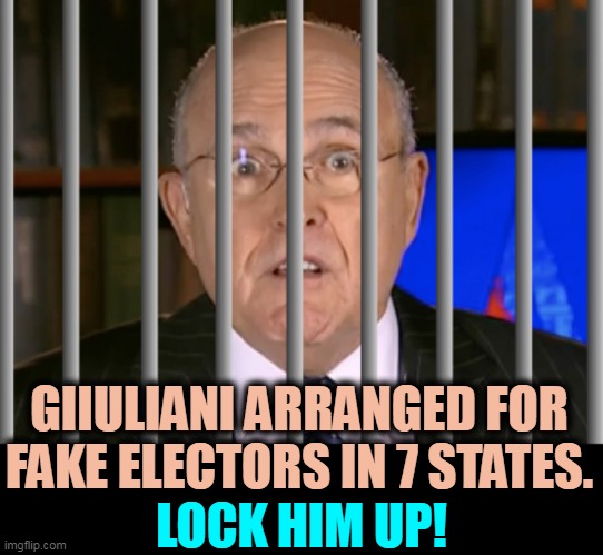 Toast. | GIIULIANI ARRANGED FOR FAKE ELECTORS IN 7 STATES. LOCK HIM UP! | image tagged in giuliani jail prison lock him up,giuliani,fake,electoral college,jail,prison | made w/ Imgflip meme maker