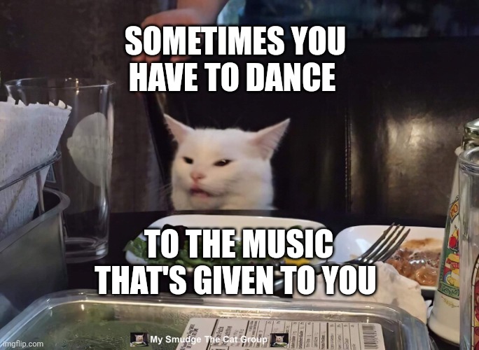 SOMETIMES YOU HAVE TO DANCE; TO THE MUSIC THAT'S GIVEN TO YOU | image tagged in smudge the cat | made w/ Imgflip meme maker