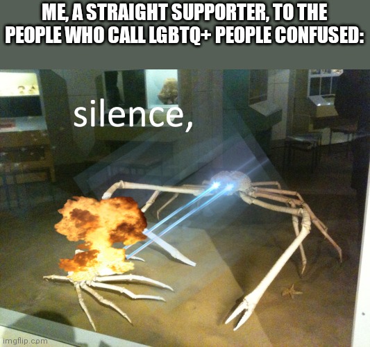 Protecc LGBTQ+, attac LGBTQphobes | ME, A STRAIGHT SUPPORTER, TO THE PEOPLE WHO CALL LGBTQ+ PEOPLE CONFUSED: | image tagged in silence | made w/ Imgflip meme maker