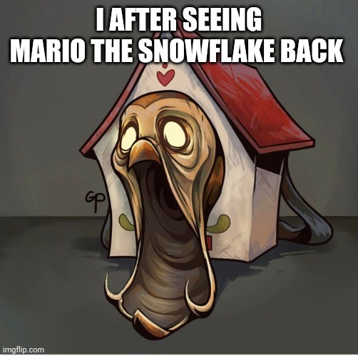 I AFTER SEEING MARIO THE SNOWFLAKE BACK | made w/ Imgflip meme maker