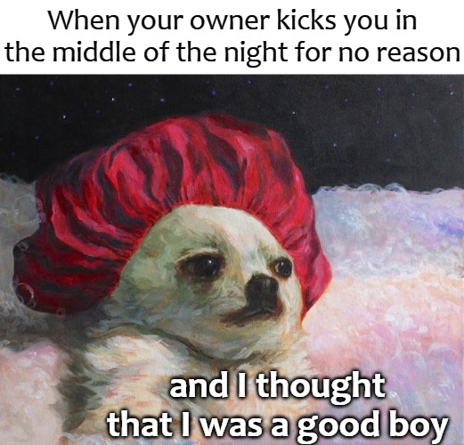  When your owner kicks you in the middle of the night for no reason; and I thought that I was a good boy | image tagged in plus | made w/ Imgflip meme maker