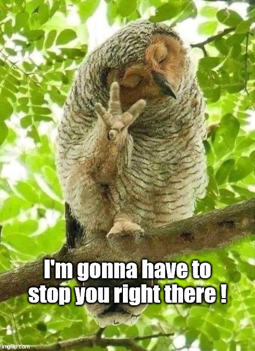 Stop right there | I'm gonna have to stop you right there ! | image tagged in bullshit | made w/ Imgflip meme maker