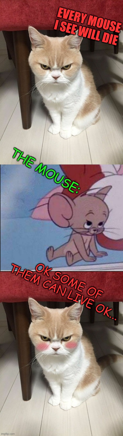 hmmmmm | EVERY MOUSE I SEE WILL DIE; THE MOUSE:; OK SOME OF THEM CAN LIVE OK... | image tagged in cat angry,jerry cute,memes,funny,msmg | made w/ Imgflip meme maker