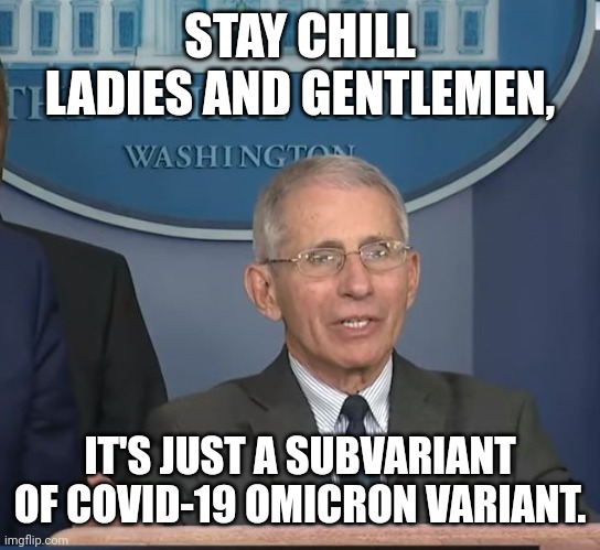 Dr Fauci | STAY CHILL LADIES AND GENTLEMEN, IT'S JUST A SUBVARIANT OF COVID-19 OMICRON VARIANT. | image tagged in dr fauci | made w/ Imgflip meme maker