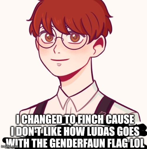 I CHANGED TO FINCH CAUSE I DON'T LIKE HOW LUDAS GOES WITH THE GENDERFAUN FLAG LOL | made w/ Imgflip meme maker