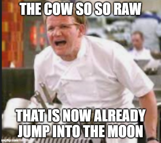 THE COW SO SO RAW; THAT IS NOW ALREADY JUMP INTO THE MOON | image tagged in cow,gordon ramsey | made w/ Imgflip meme maker