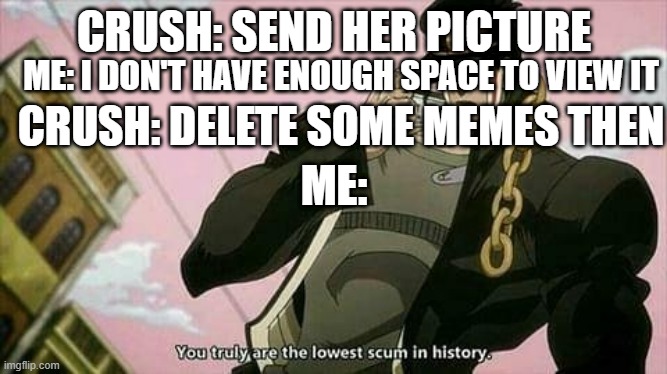Meme | ME: I DON'T HAVE ENOUGH SPACE TO VIEW IT; CRUSH: SEND HER PICTURE; CRUSH: DELETE SOME MEMES THEN; ME: | image tagged in the lowest scum in history | made w/ Imgflip meme maker