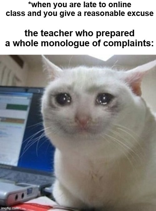 true | *when you are late to online class and you give a reasonable excuse; the teacher who prepared a whole monologue of complaints: | image tagged in crying cat | made w/ Imgflip meme maker