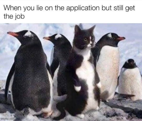 image tagged in repost | made w/ Imgflip meme maker
