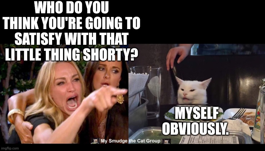 WHO DO YOU THINK YOU'RE GOING TO SATISFY WITH THAT LITTLE THING SHORTY? MYSELF OBVIOUSLY. | image tagged in smudge the cat | made w/ Imgflip meme maker