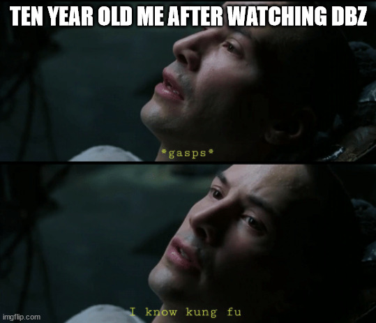 I know kung Fu | TEN YEAR OLD ME AFTER WATCHING DBZ | image tagged in i know kung fu | made w/ Imgflip meme maker