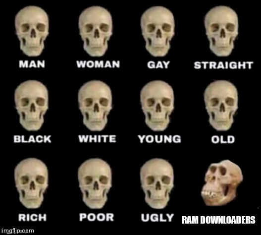 Free ram come now | RAM DOWNLOADERS | image tagged in idiot skull | made w/ Imgflip meme maker