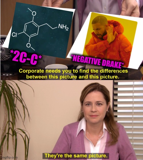 -Rapping with glitches. | *NEGATIVE DRAKE*; *2C-C* | image tagged in memes,they're the same picture,drake blank,hallucinate,don't do drugs,totally looks like | made w/ Imgflip meme maker