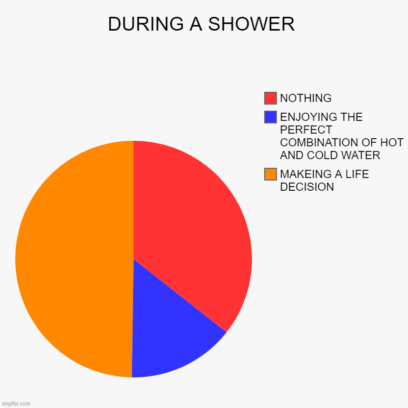 DURING A SHOWER | MAKEING A LIFE DECISION, ENJOYING THE PERFECT COMBINATION OF HOT AND COLD WATER, NOTHING | image tagged in charts,pie charts,funny memes,memes | made w/ Imgflip chart maker