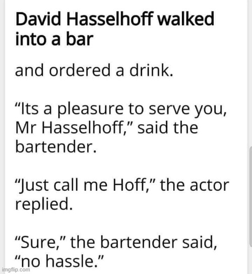 The Hoff | image tagged in bartender | made w/ Imgflip meme maker