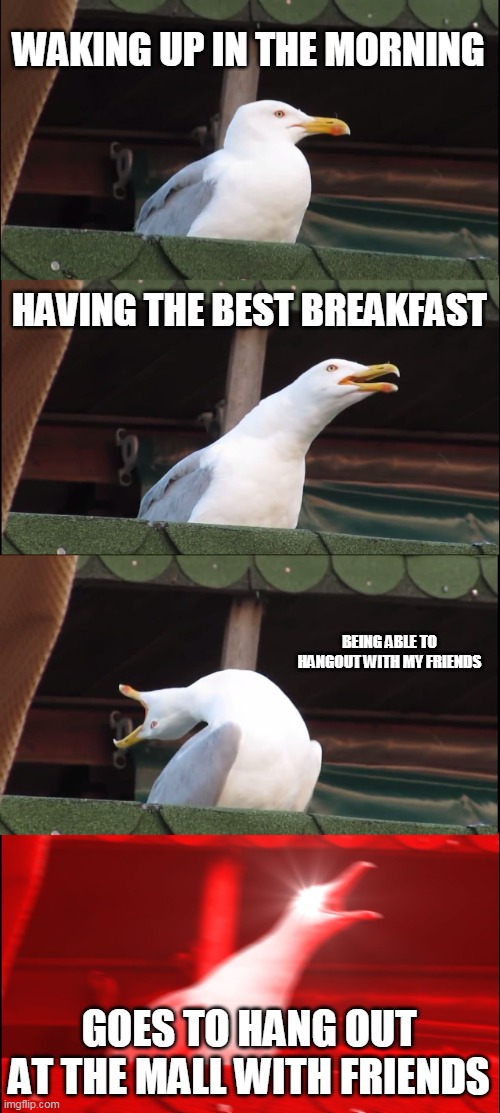 Inhaling Seagull | WAKING UP IN THE MORNING; HAVING THE BEST BREAKFAST; BEING ABLE TO HANGOUT WITH MY FRIENDS; GOES TO HANG OUT AT THE MALL WITH FRIENDS | image tagged in memes,inhaling seagull | made w/ Imgflip meme maker