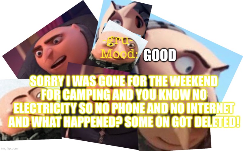 Who tho? | GOOD; SORRY I WAS GONE FOR THE WEEKEND FOR CAMPING AND YOU KNOW NO ELECTRICITY SO NO PHONE AND NO INTERNET AND WHAT HAPPENED? SOME ON GOT DELETED! | image tagged in -gru- template | made w/ Imgflip meme maker