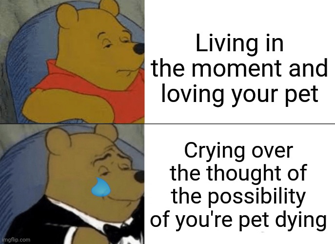 Tuxedo Winnie The Pooh | Living in the moment and loving your pet; Crying over the thought of the possibility of you're pet dying | image tagged in memes,tuxedo winnie the pooh,pets,sad | made w/ Imgflip meme maker