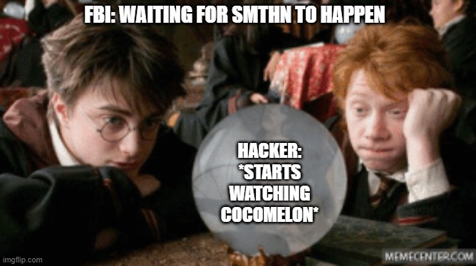 boring hacker | FBI: WAITING FOR SMTHN TO HAPPEN; HACKER: *STARTS WATCHING COCOMELON* | image tagged in harry potter,crystal ball,hackers,fbi | made w/ Imgflip meme maker