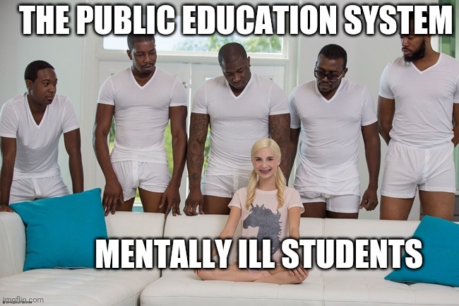 Mentally ill student vibes | THE PUBLIC EDUCATION SYSTEM; MENTALLY ILL STUDENTS | image tagged in piper perri,mental illness,school | made w/ Imgflip meme maker