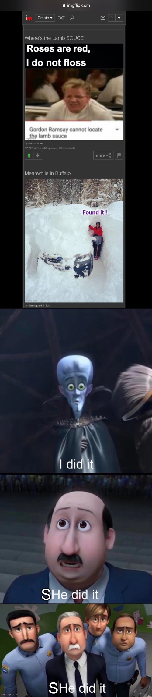 She found the lamb sauce ?! | S; S | image tagged in megamind i did it | made w/ Imgflip meme maker